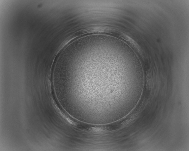 X0000073840794200608171005