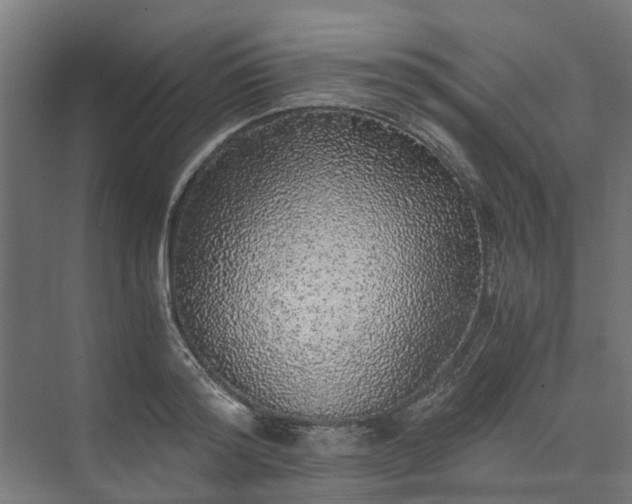 X0000073840796200608171005