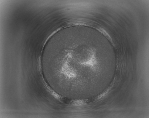 X0000073840798200608171005