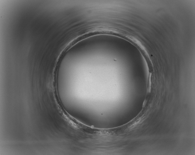 X0000073840799200608171005