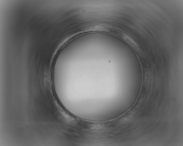 X0000073840800200608171005