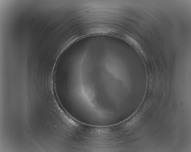 X0000073840802200608171005