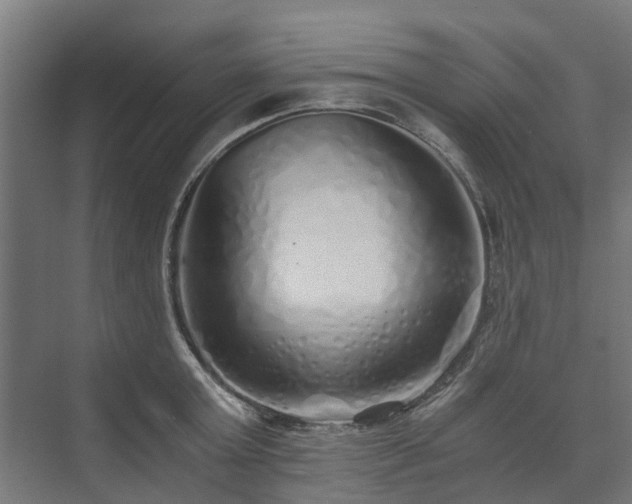 X0000073840803200608171005