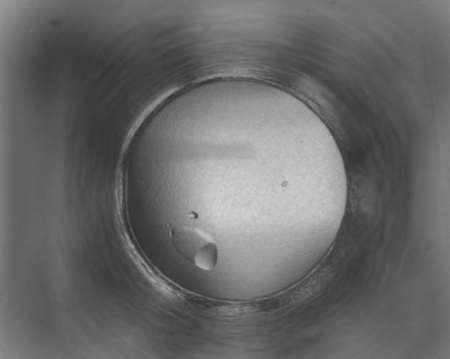 X0000073840804200608171005