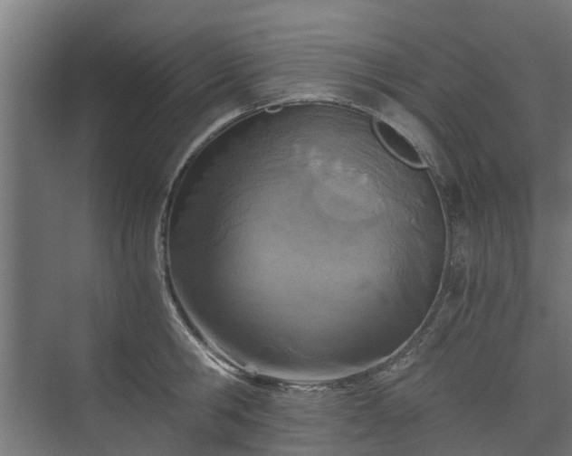 X0000073840806200608171005