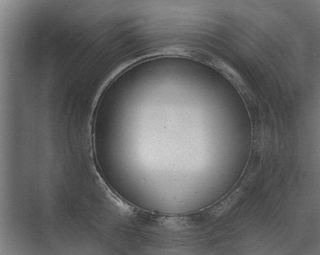 X0000073840808200608171005