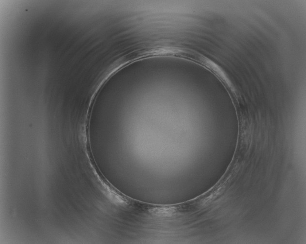 X0000073840810200608171005