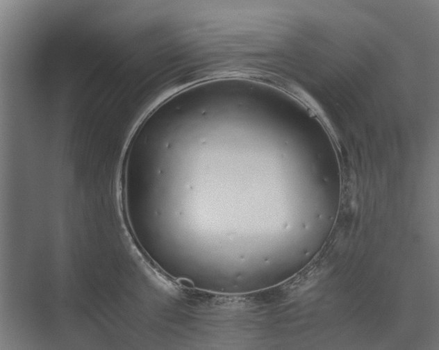 X0000073840811200608171005