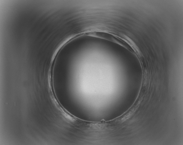 X0000073840812200608171005