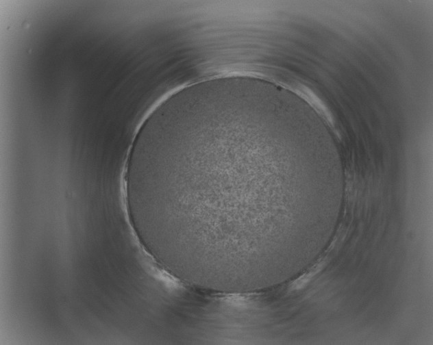 X0000073840814200608171005