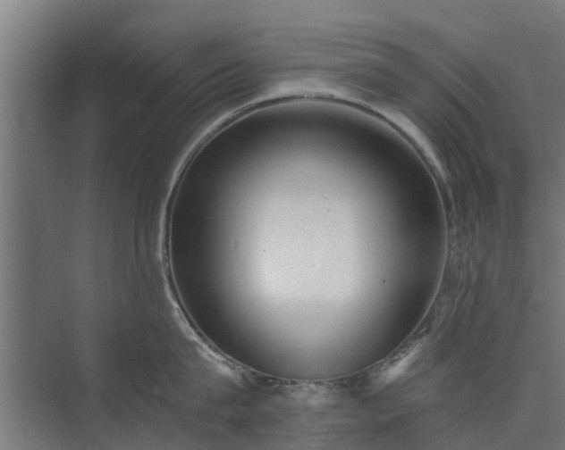 X0000073840815200608171005