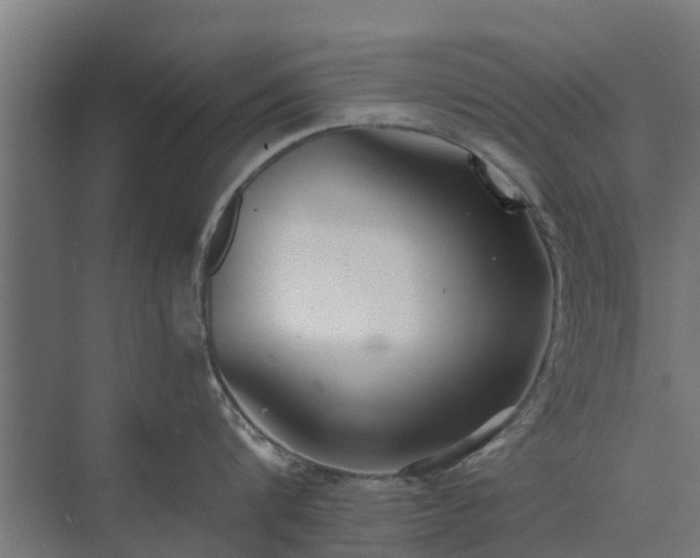 X0000073840816200608171005