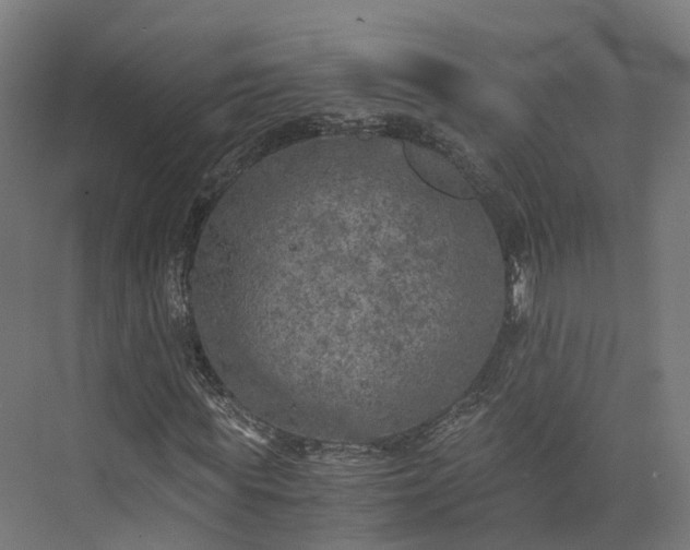 X0000073840819200608171004