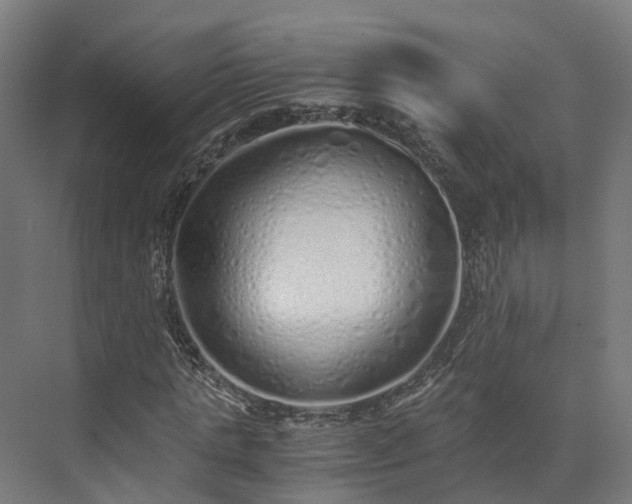 X0000073840821200608171004