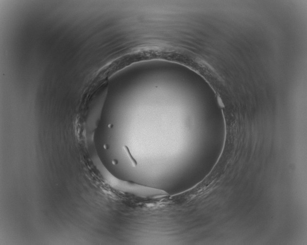 X0000073840822200608171004