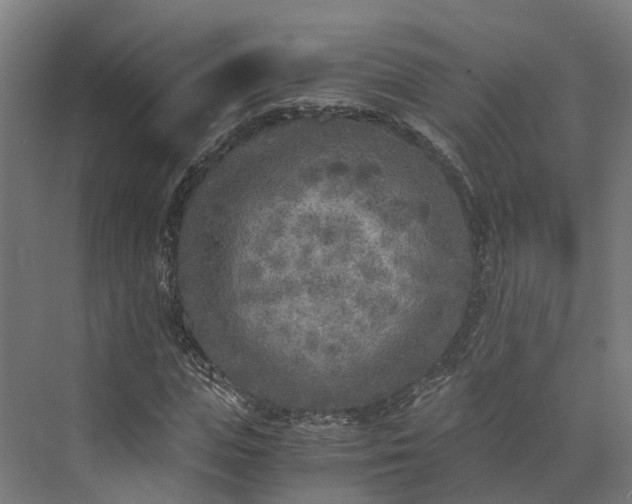 X0000073840823200608171004