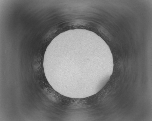 X0000073840824200608171004