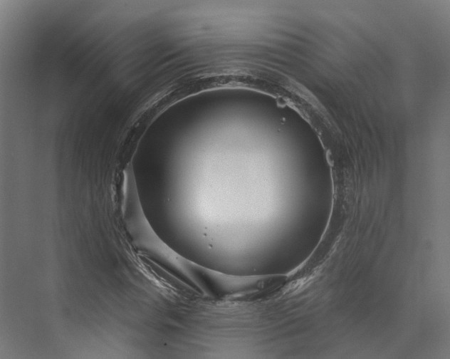 X0000073840826200608171004