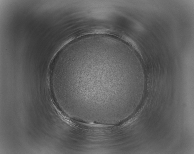 X0000073840827200608171004