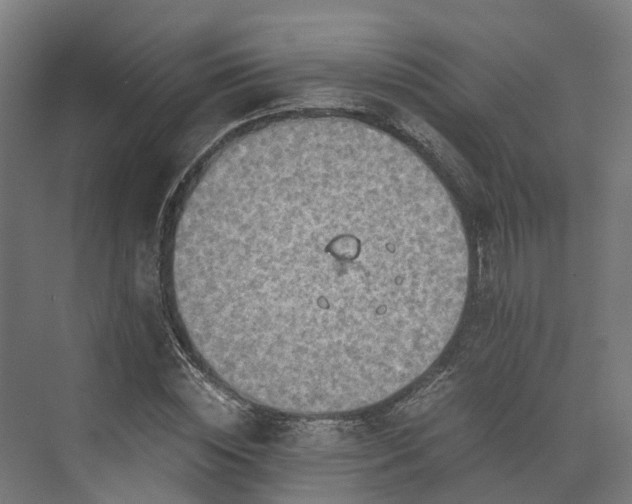 X0000073840828200608171004