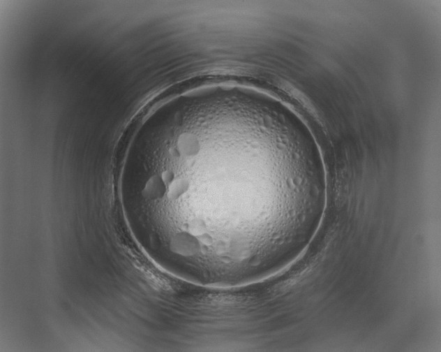 X0000073840829200608171004