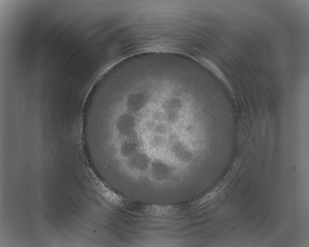 X0000073840831200608171004