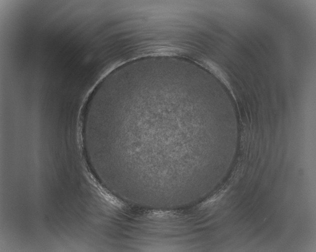 X0000073840835200608171005