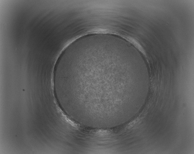 X0000073840839200608171005