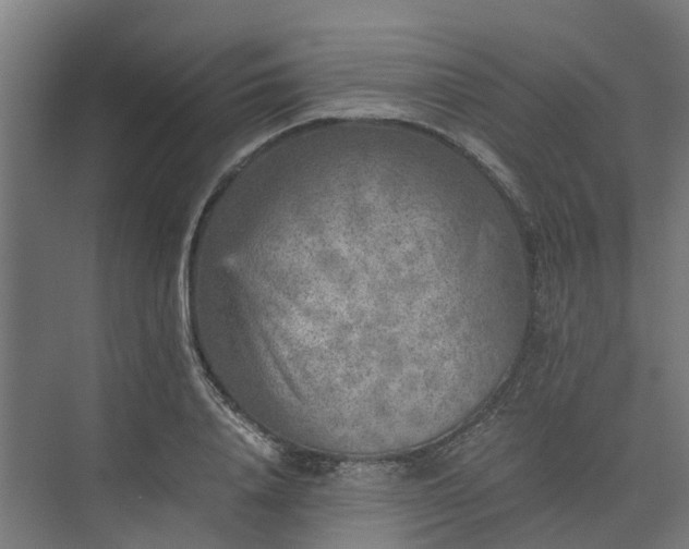 X0000073840840200608171005