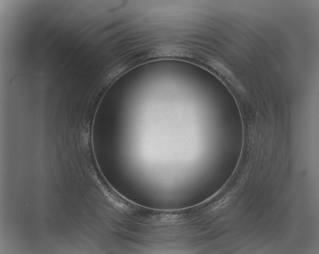 X0000073840841200608171005