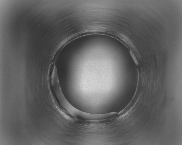 X0000073840842200608171005