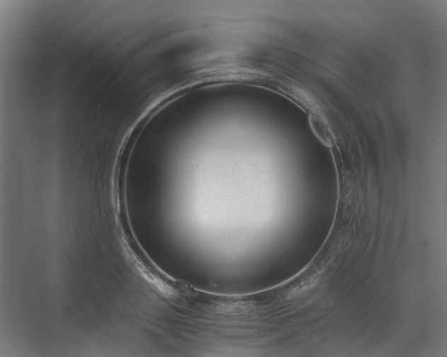 X0000073840843200608171005