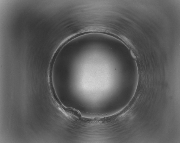 X0000073840846200608171005