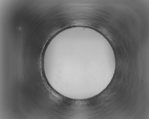 X0000073840848200608171005