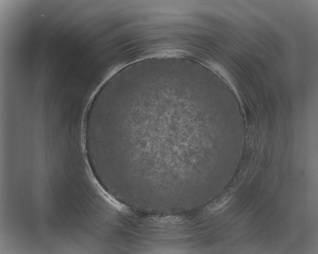 X0000073840851200608171005