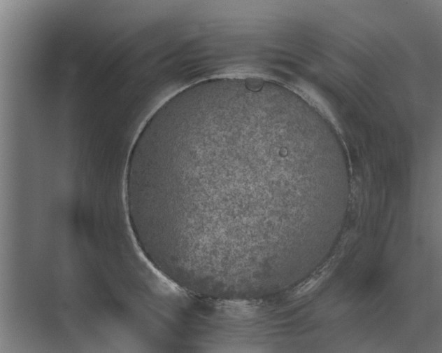 X0000073840855200608171005