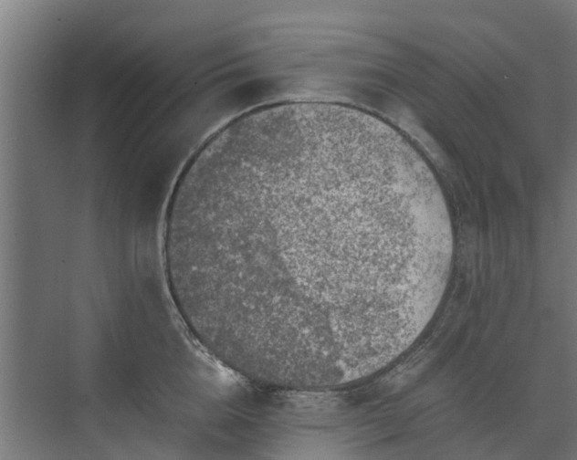 X0000073840856200608171005