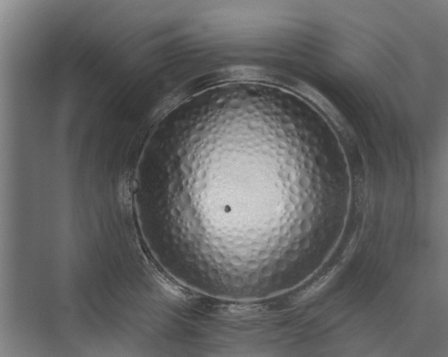 X0000073840857200608171005