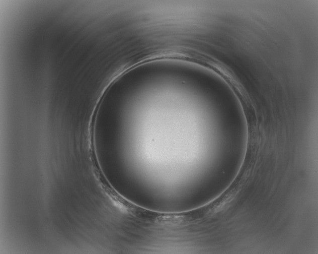 X0000073840858200608171005