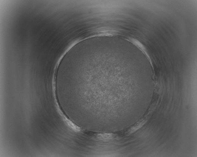 X0000073840859200608171005