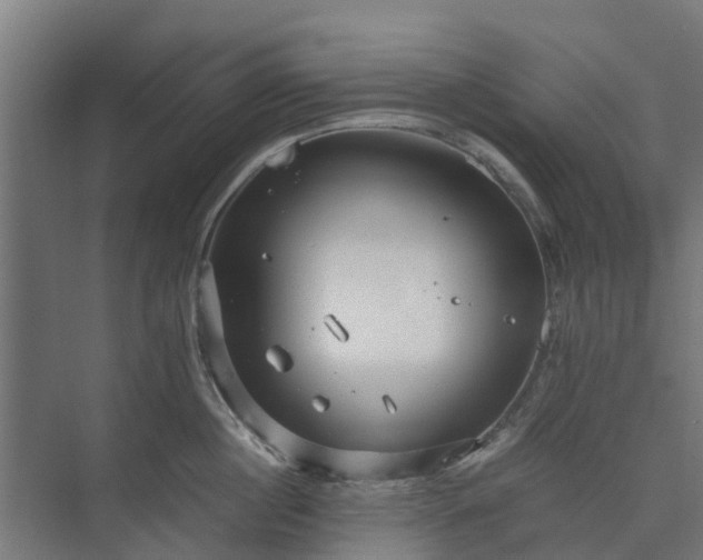 X0000073840860200608171005