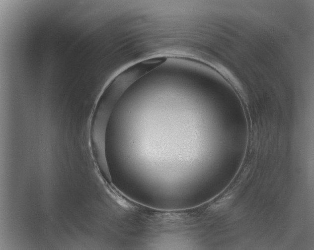 X0000073840862200608171005