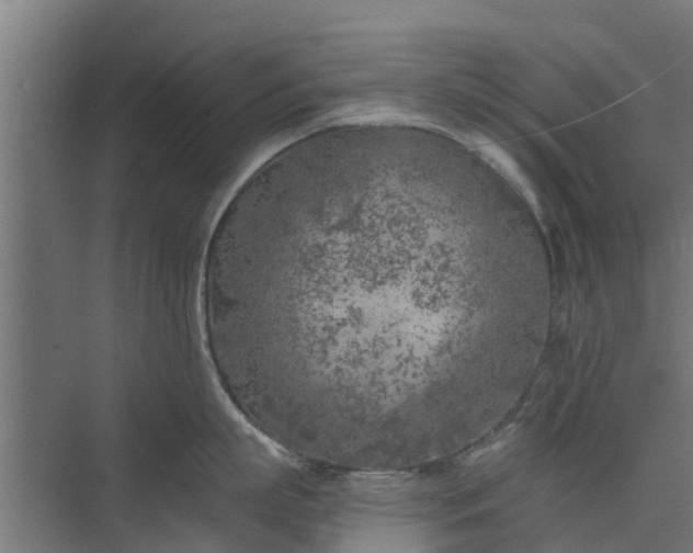 X0000073840863200608171005