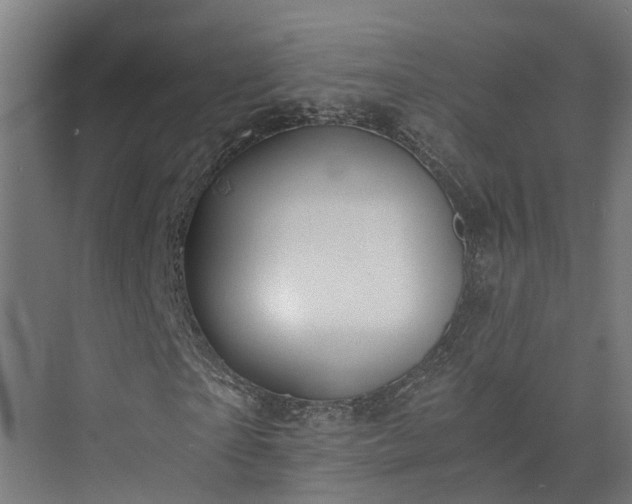 X0000073840865200608171004