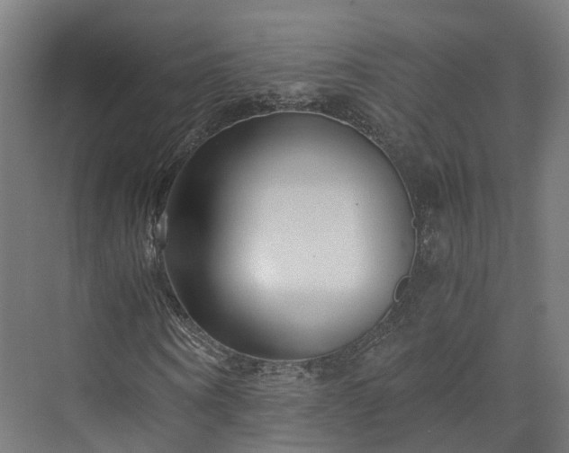 X0000073840866200608171004