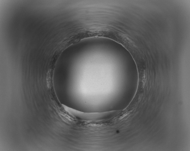 X0000073840868200608171004