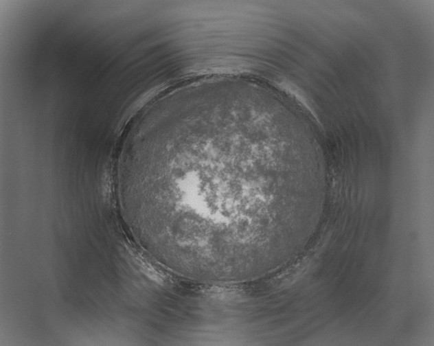 X0000073840874200608171004