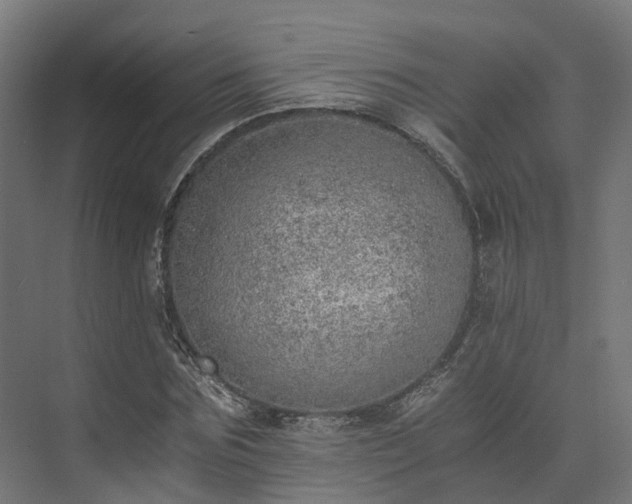 X0000073840875200608171004