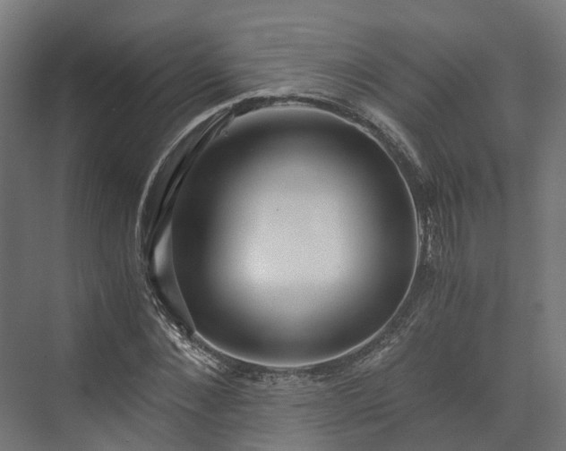 X0000073840876200608171004