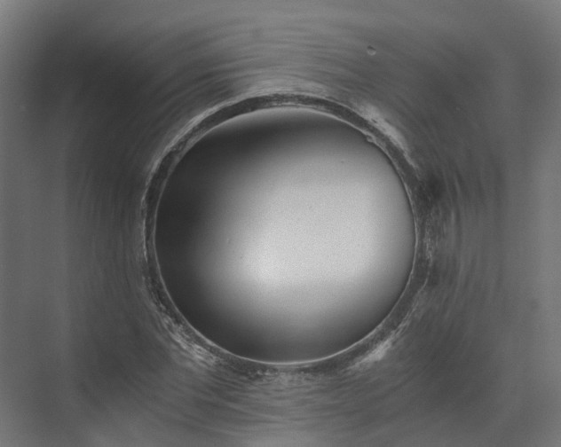 X0000073840877200608171004